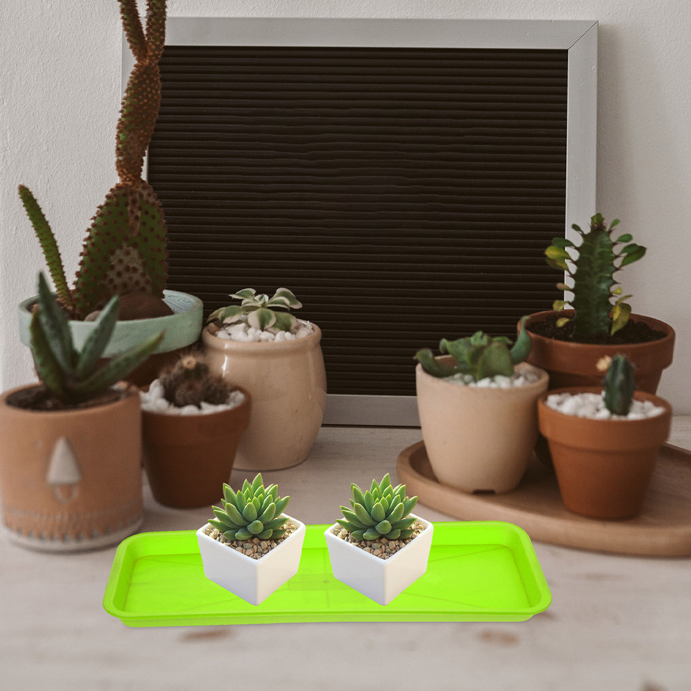 5 قطع صينية أصيص زهور مستطيلة  - مراجعة Outdoor Lighting Collections وسعره